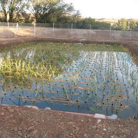  EXCAVACIONES HNOS AGUILAR TORRES Obras 4